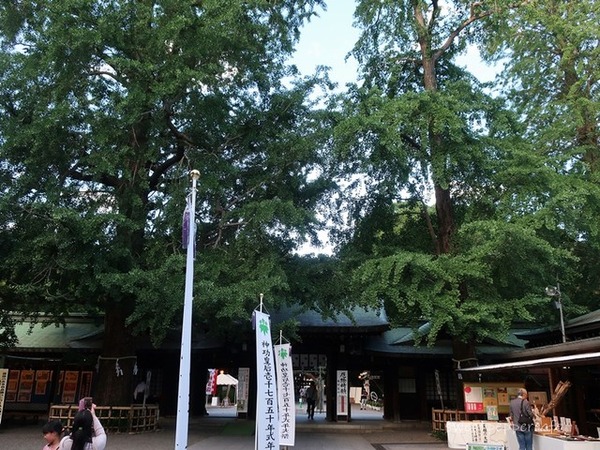 2019-0617-6