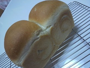 食パン