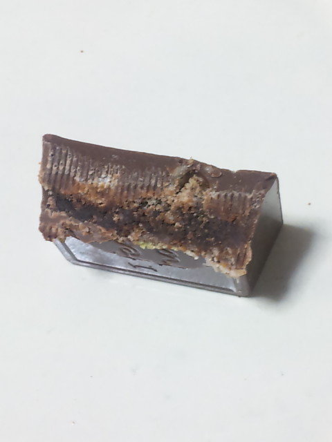 †月ウサギの食べ日記†-100127_005412.jpg