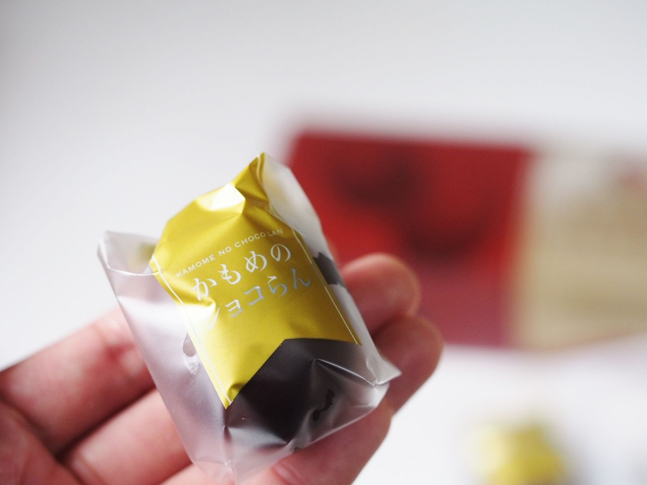 かもめの玉子のチョコバージョン かもめのショコらん を堪能 スイーツハンター月ウサギの食べ日記 Powered By ライブドアブログ