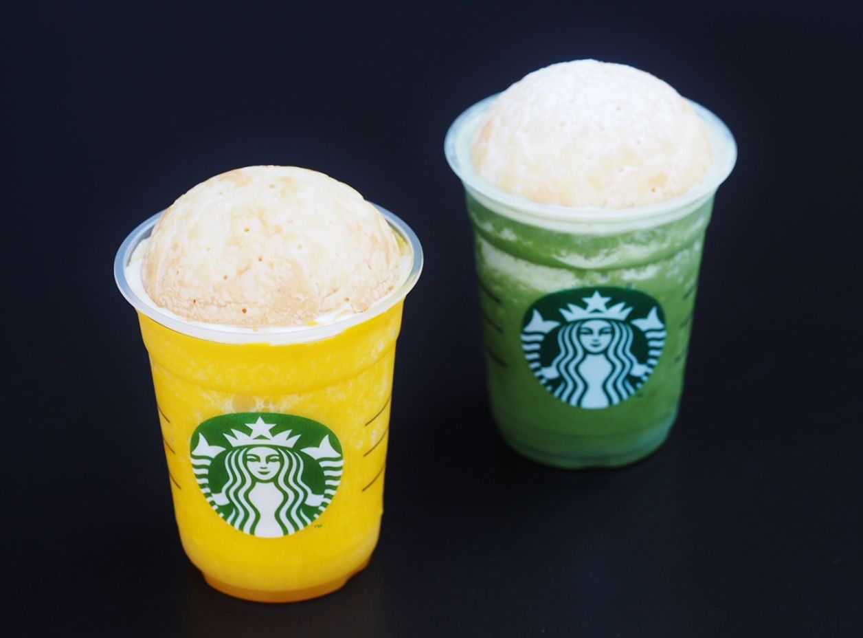 初 登場 チーノ