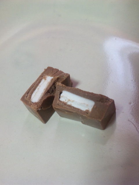 †月ウサギの食べ日記†-090429_115833.jpg