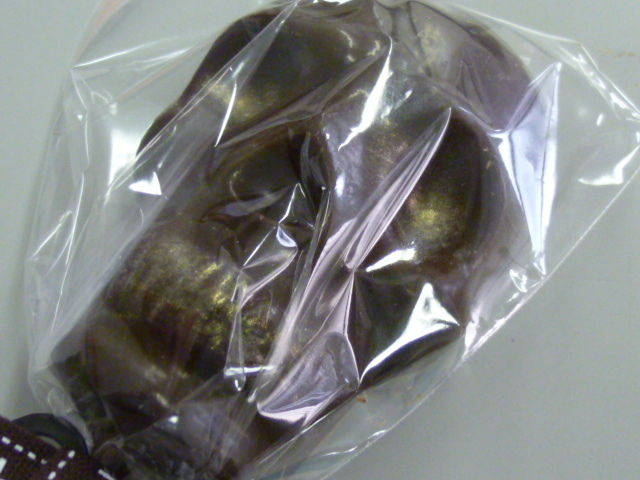 $†月ウサギの食べ日記†