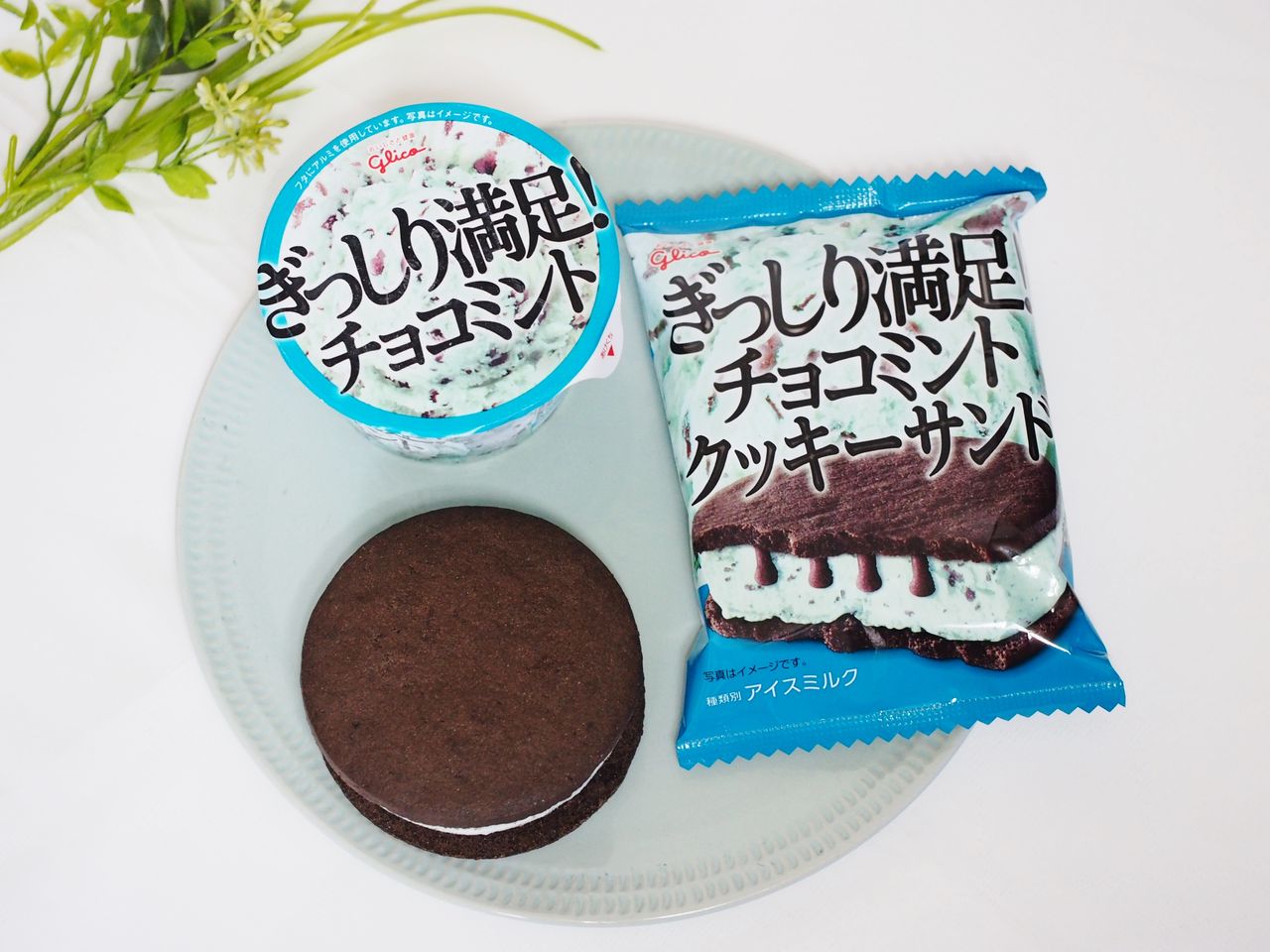 ファミマのぎっしり満足 チョコミントのアイスにクッキータイプが登場 ぎっしり満足 チョコミントクッキーサンドとの食べ比べをした結果 スイーツハンター月ウサギの食べ日記 Powered By ライブドアブログ