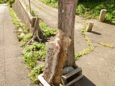 $†月ウサギの食べ日記†