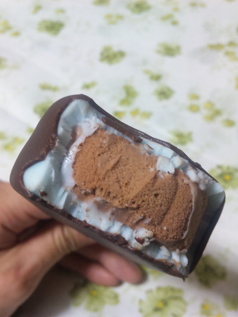 †月ウサギの食べ日記†-100329_012923.jpg