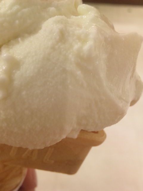 †月ウサギの食べ日記†-100829_192118.jpg