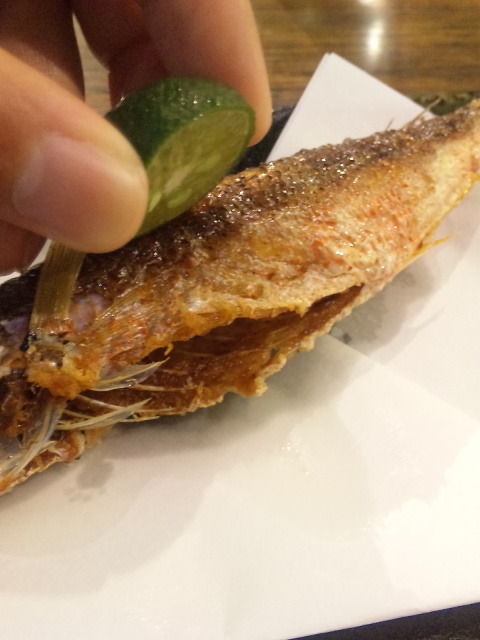 †月ウサギの食べ日記†-100829_170925.jpg