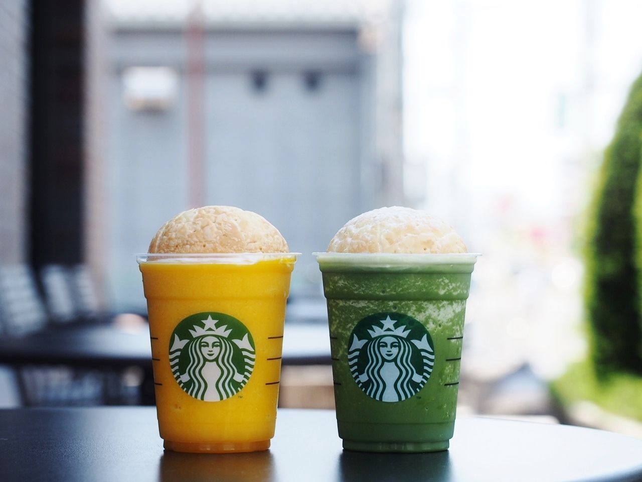 初 登場 チーノ