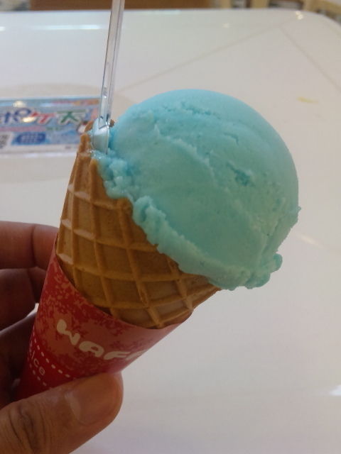 †月ウサギの食べ日記†-100627_174213.jpg