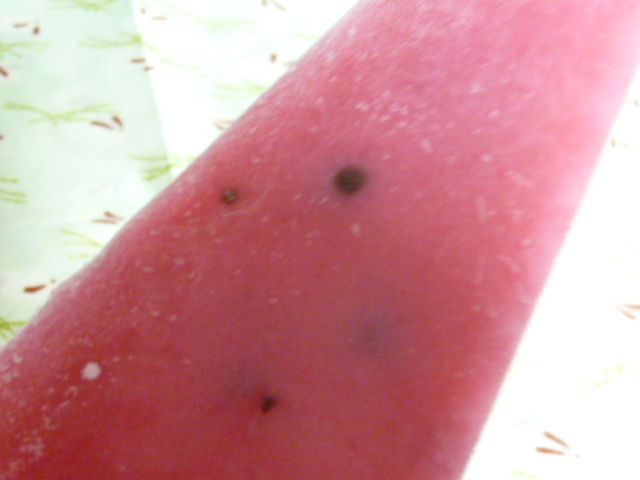 $†月ウサギの食べ日記†