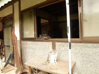 $†月ウサギの食べ日記†