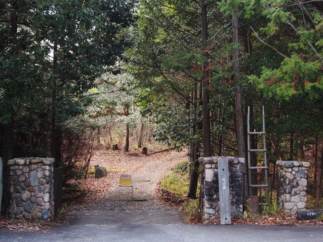 兵庫県 三田 マイナスイオンたっぷりの森の中に佇むカフェで ほっこりいちごパフェ を堪能 吹上の森 スイーツハンター月ウサギの食べ日記