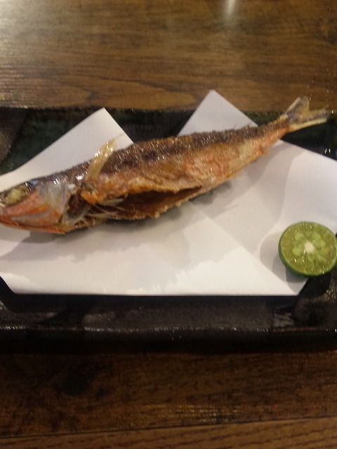 †月ウサギの食べ日記†-100829_170801.jpg