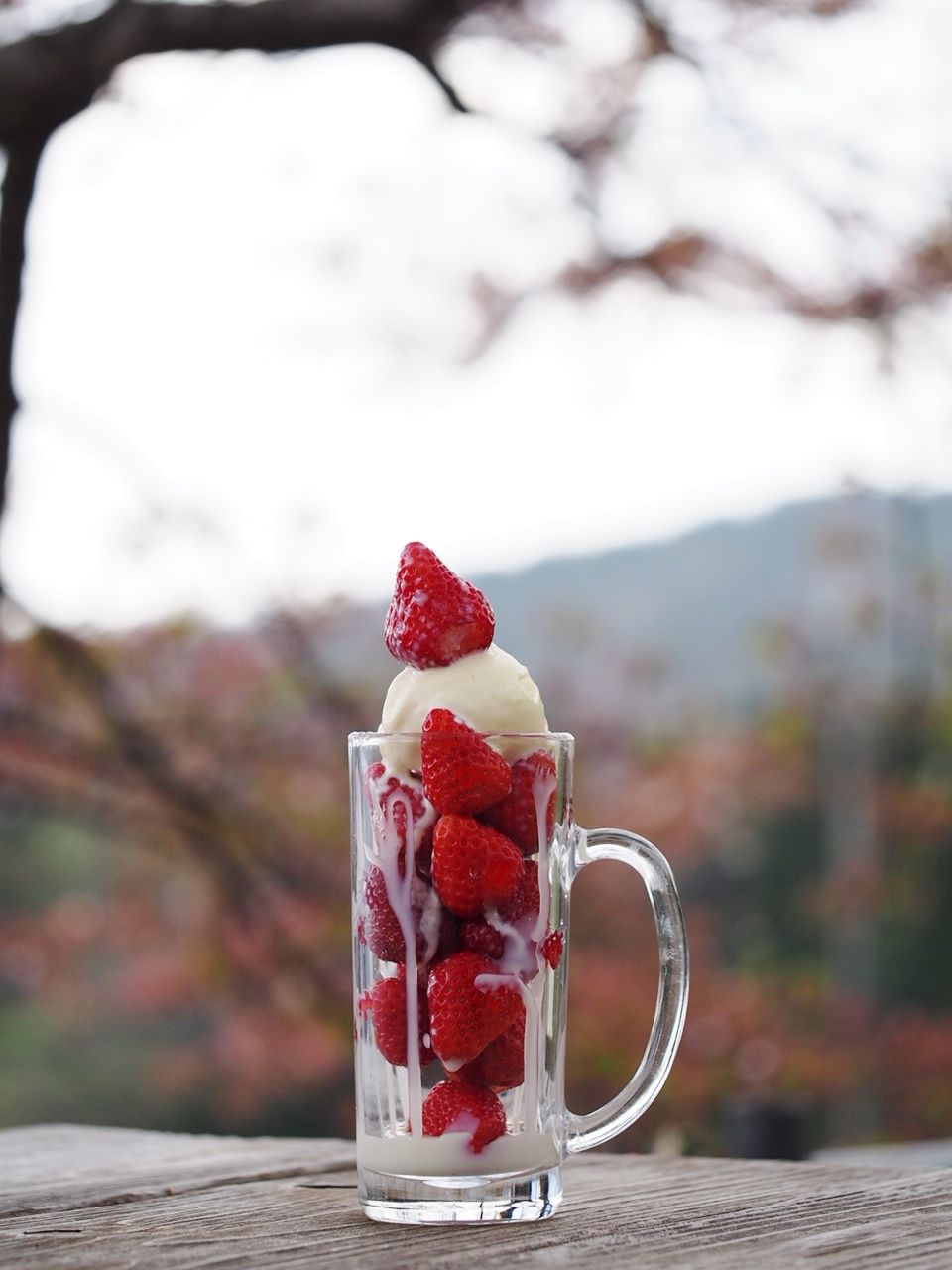 奈良生駒山にある森のレストラン ラッキーガーデン の期間限定 いちごアイス がフォトジェニックすぎ スイーツハンター月ウサギの食べ日記