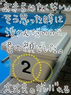 水泳画像第１弾 アフぃリエイトのページ