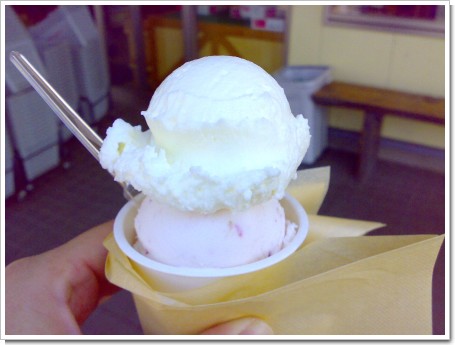 ǻ���ߥ륯���㡼��������