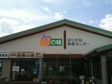 50213beb.jpg