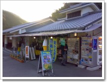 ���ť�ëƽ��Ź