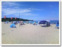 �ץ��ͤγ������