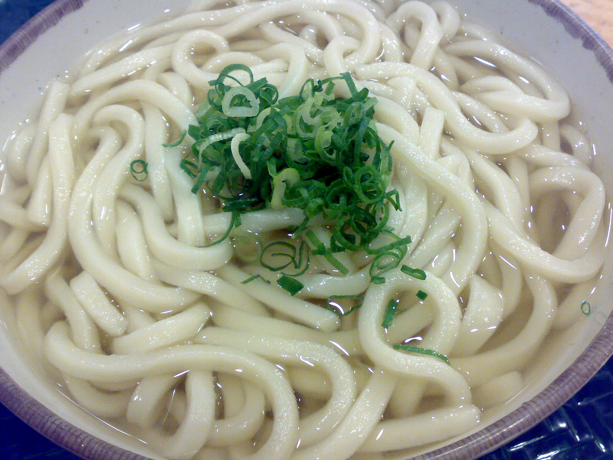 はなまるうどん 静岡駅南 かけうどんの大で B級グルメ探索日誌 ラーメン カレー部 静岡駅周辺グルメ 讃岐うどん ぶっかけうどん ランチ