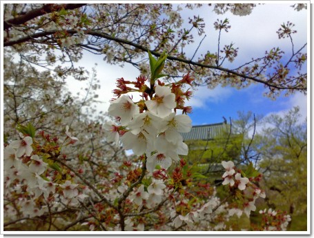 200804203767_edited.jpg