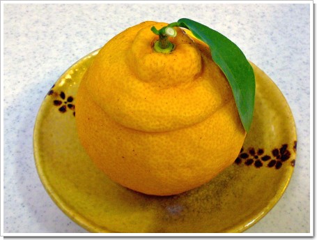 ������ ʡ����