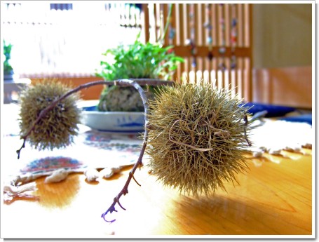 2008-09-15 008_edited.jpg