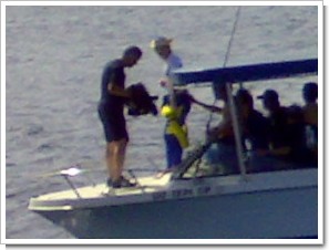 �����ʷ�