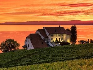 lavaux_
