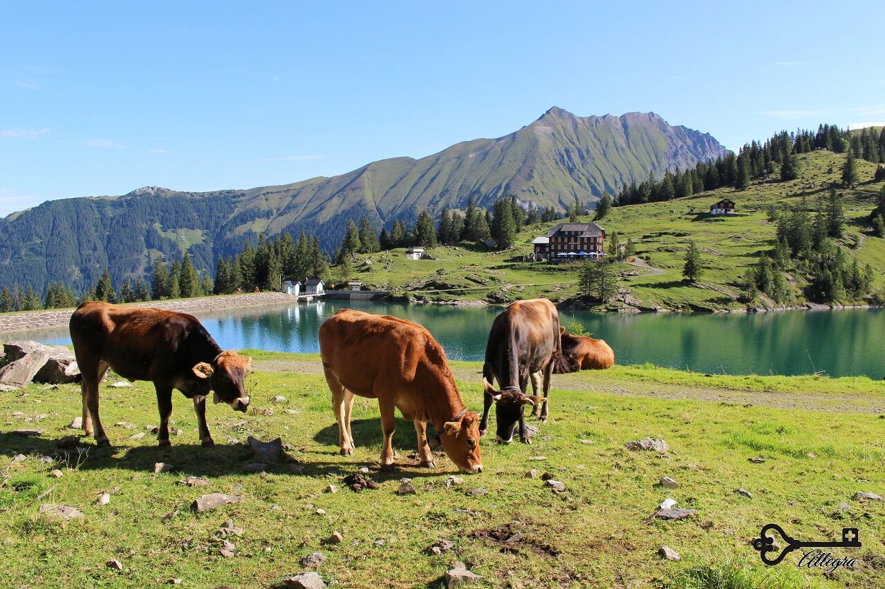  「iPhone 8」は新しい「鏡のような」オプションを含む4色で登場