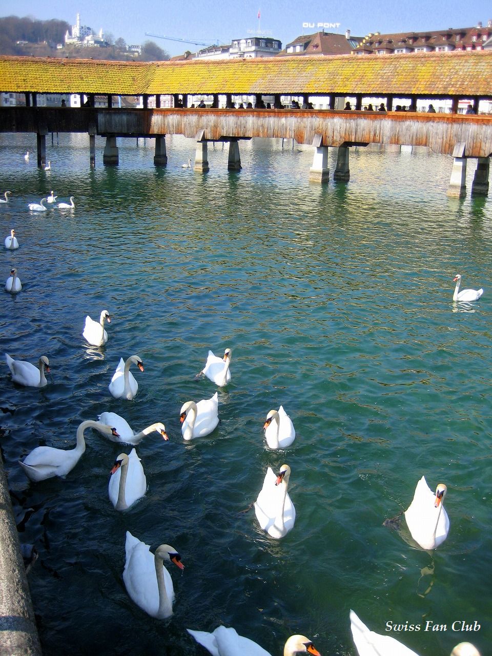 ルツェルンの観光スポット カペル橋の復活劇 スイス ルツェルン スイス 26の旅の扉