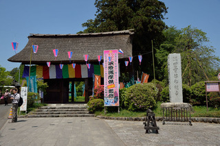 DFA_3951
