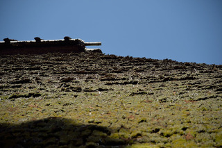 DFA_4034