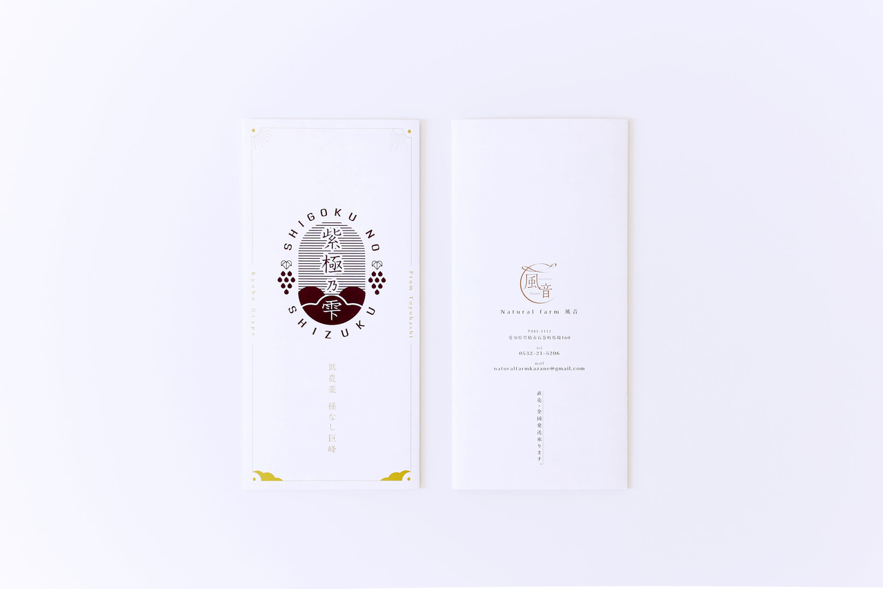 シグマトリオールのリーフレット