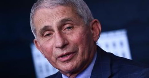 fauci-texas