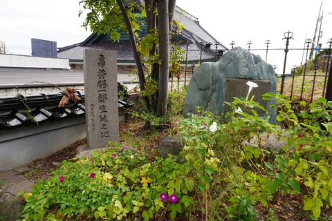 DSC00428