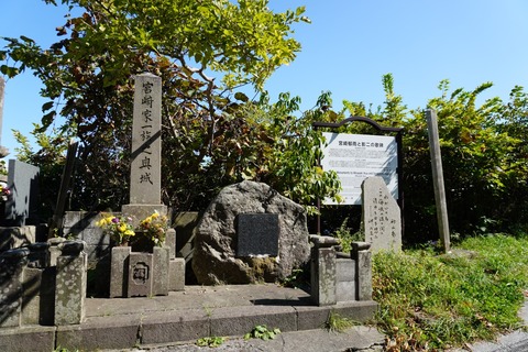 DSC00575