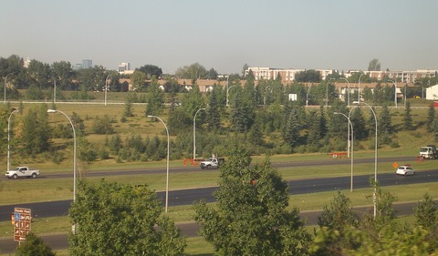 IMGP0029