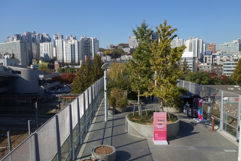 DSC00222