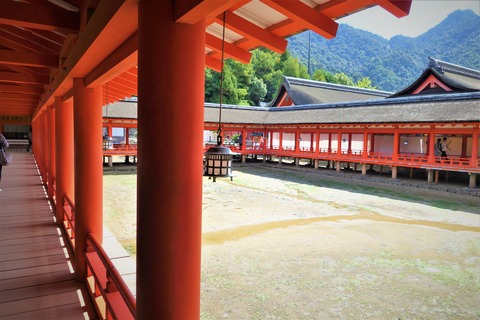 広島５Ａ
