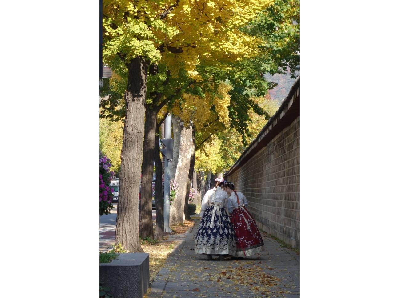 韓国旅行記 光化門から青瓦台に向け散策 国際短波放送情報