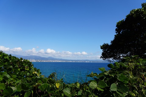 DSC00578
