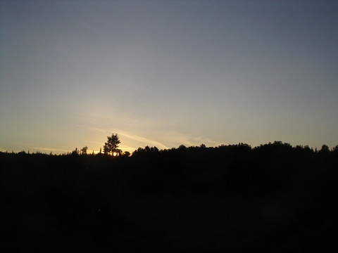 IMGP0490