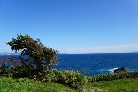 DSC00581D