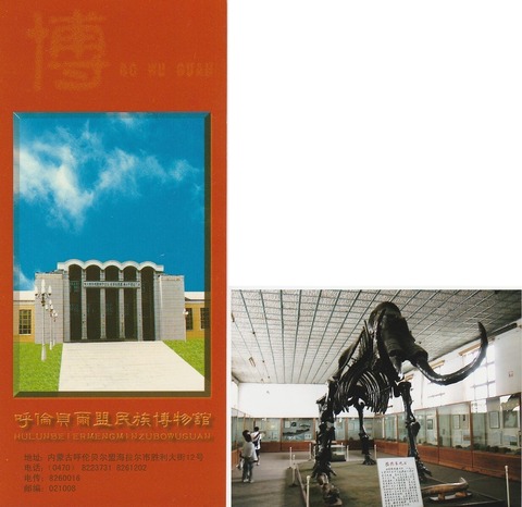 817E