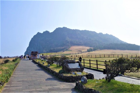 DSC00084