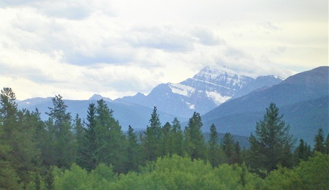 IMGP0064