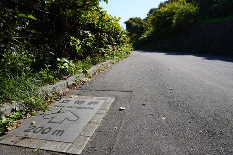 DSC00577
