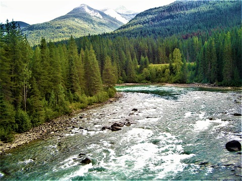 IMGP0097